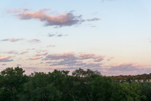 DSC03449